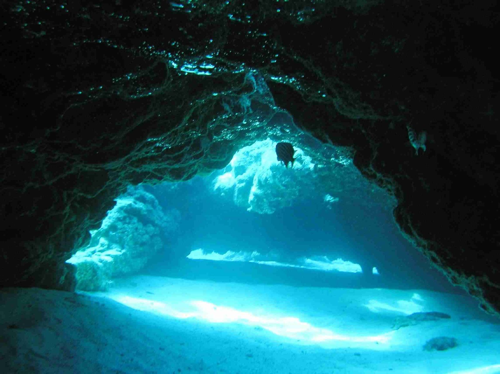 Cave Dive Xylofagou
