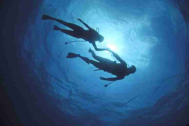 Fontana Amorosa Scuba Diving