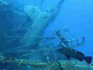 Zenobia Shipwreck Larnaka