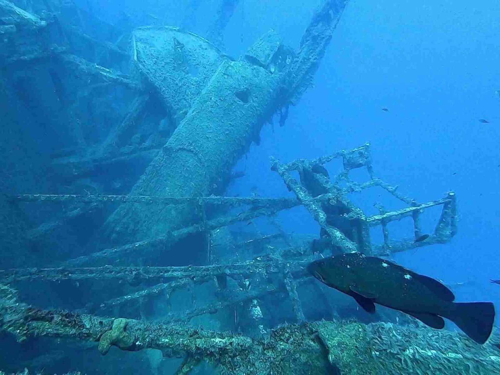 Zenobia Shipwreck Larnaka