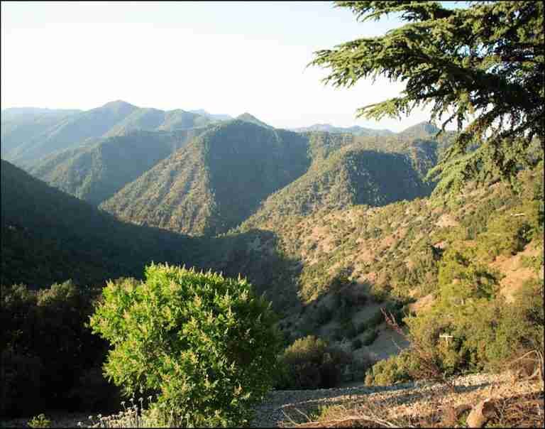 Stavros Tis Psokas Camping