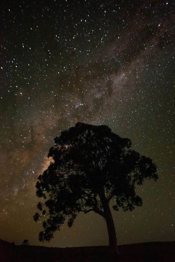 Night Adventures - Exploring Cyprus Under the Stars