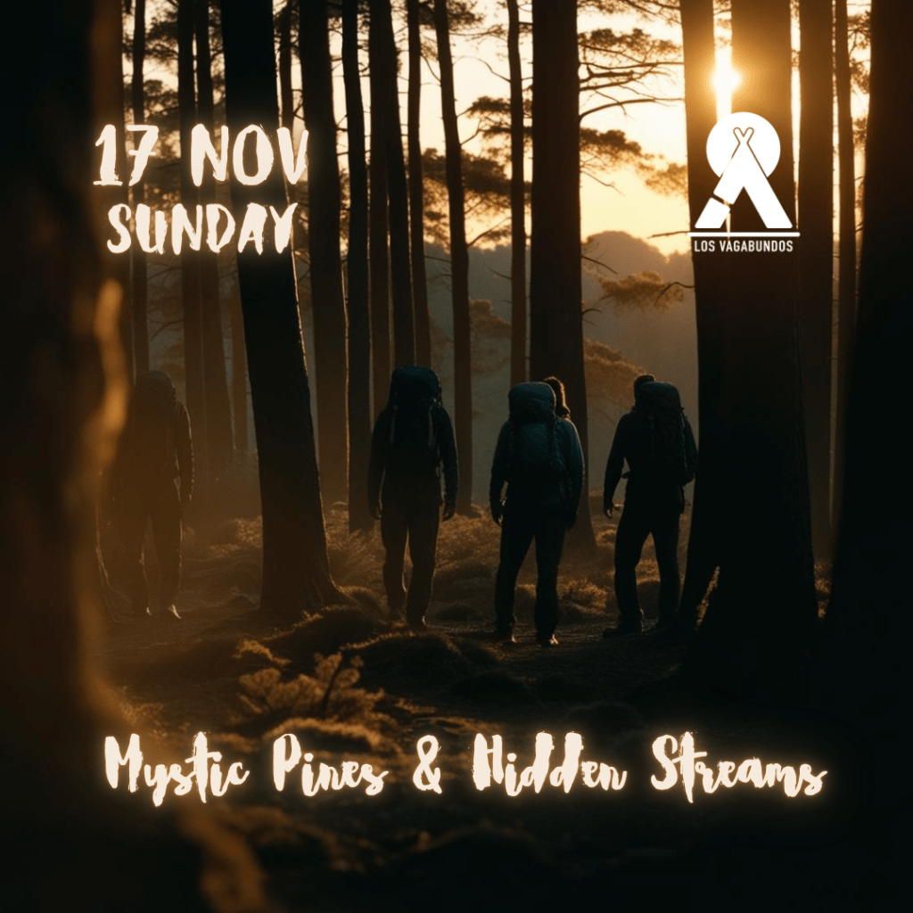 Mystic Pines & Hidden Streams - Post