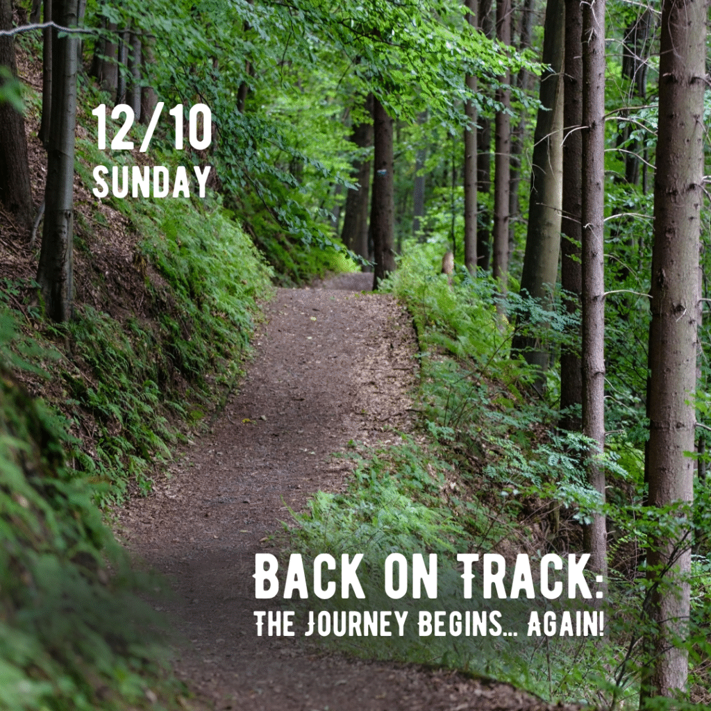 Back on Track The Journey Begins.. Again!_Post
