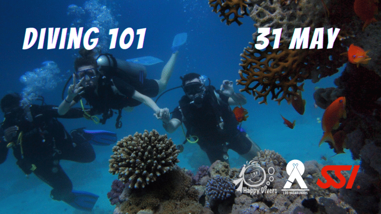 Scuba Diving 101_Event
