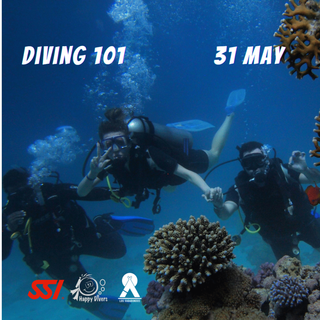 Scuba Diving 101_Post