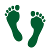 Walking Footsteps Icon